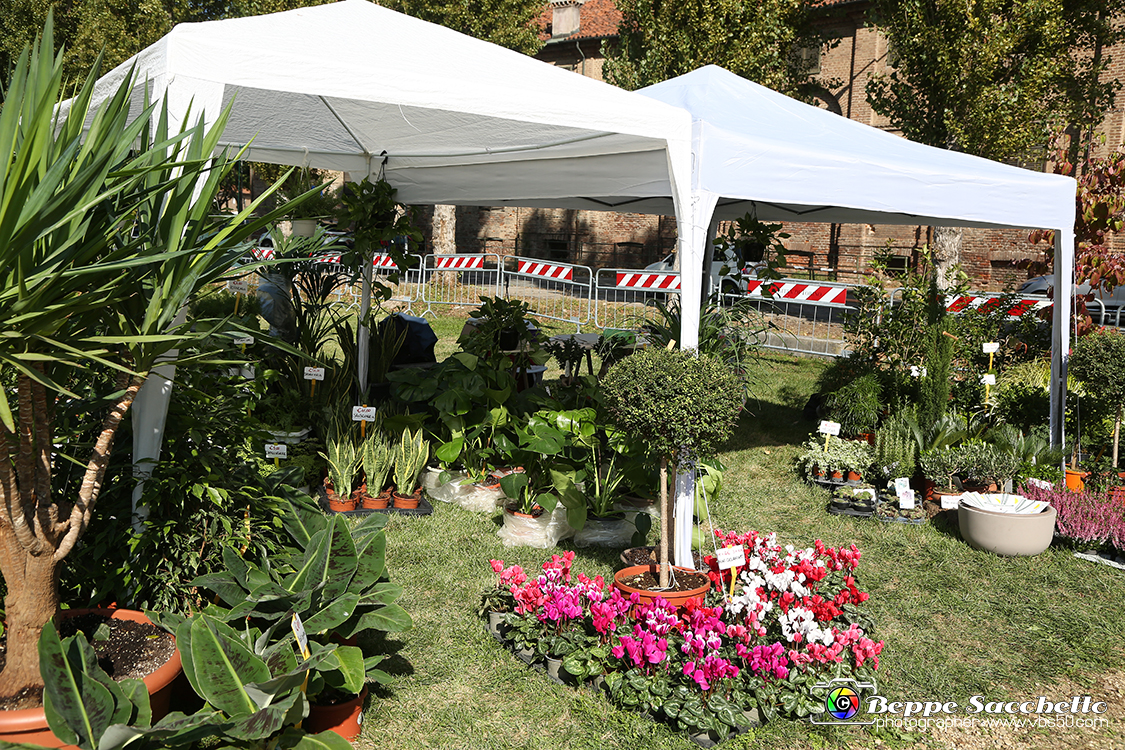 VBS_2359 - FloReal 2021 alla Palazzina di Caccia di Stupinigi.jpg